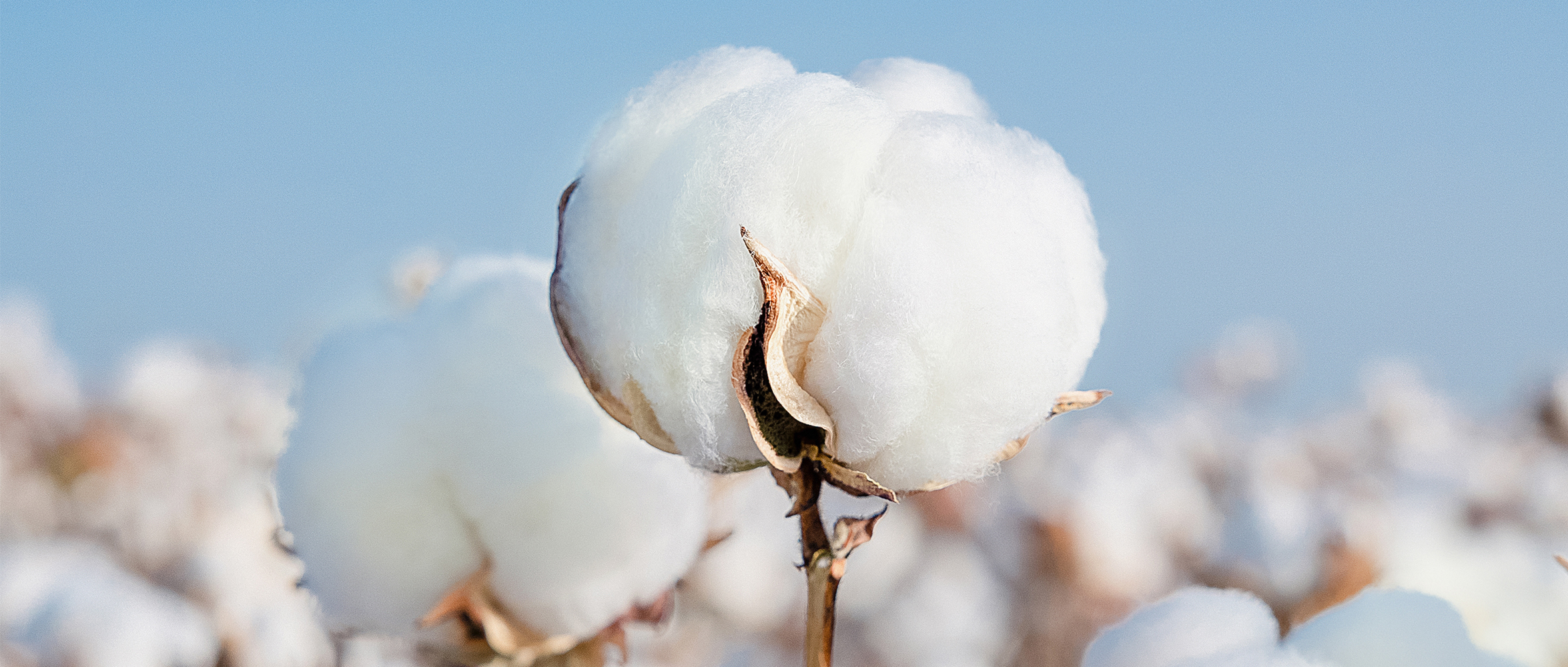 一图读懂U乐国际·集团集团2024年度ESG报告